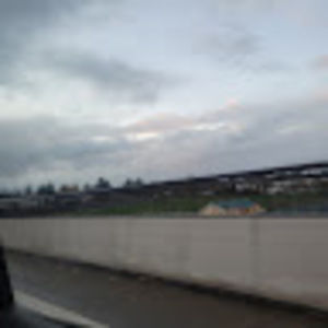 Meet your Posher, Ella